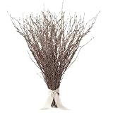 Sukh 40 ramitas de abedul natural, ramas de abedul secas de 12.8 pulgadas | Ramitas y ramas decorativas para jarrón, decoración de ramas de plantas naturales para arreglos de boda, decoración del hogar