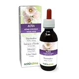 Malvavisco (Althaea officinalis) raíces Tintura Madre sin alcohol Naturalma - Extracto líquido gotas 120 ml - Complemento alimenticio - Vegano