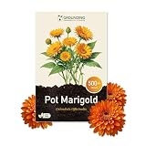 Análisis y comparativa de los mejores productos de herbolario con planta caléndula
