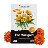 Grounding – Caléndula Mix Naranja y Amarillo, 2000+ Semillas, 30 cm