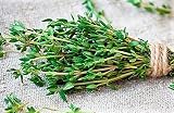 TOMILLO FLOR EXTRA 50GR ECO (CJ25)