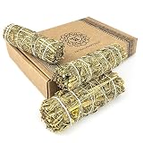 MUT22 3 Atados de Ruda Natural para Quemar, 10,5 cm | 3 atados de Ruda | 10,5 cm aprox. | Aroma herbal intenso | Para sahumado y rituales tradicionales