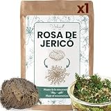 VIRHEA® Rosa de Jericho - Planta Natural Auténtica Rosa de Jerico - Flor de Jerico Verdadera para Decoración - Rosa del Desierto Viva - Ideal para Regalos y Feng Shui