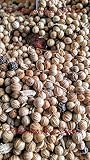 Especias Caracoles 1000 grs - Caracoles 1 Kg